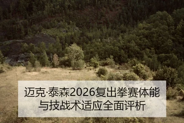 迈克·泰森2026复出拳赛体能与技战术适应全面评析